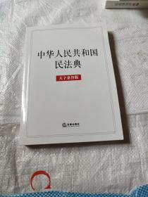 中华人民共和国民法典（大字条旨版）2020年6月