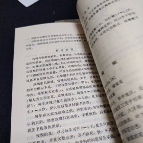 北京花卉+北京花卉续编 2册合售