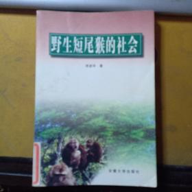 野生短尾猴的社會