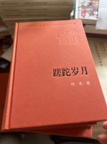 蹉跎岁月 新中国60年长篇小说典藏