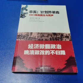 辛亥·计划外革命：1911年的民生与民声