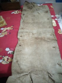 狐狸皮长104㐅33cm，老印章，29号