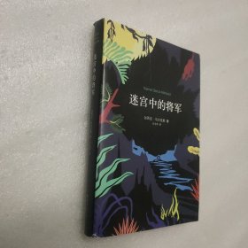 迷宫中的将军