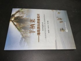 羊栖菜：海岛洞头的金名片