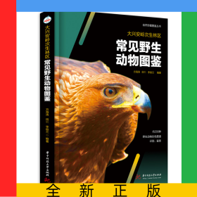 大興安嶺次生林區(qū)常見野生動(dòng)物圖鑒