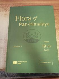 Flora of Pan-Himalaya(19 6)(精)