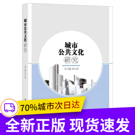 城市公共文化研究