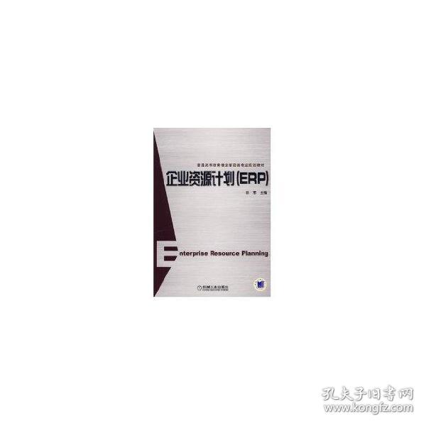 新华正版 企业资源计划(ERP) 田军 9787111206347 机械工业出版社