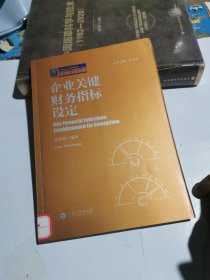 企业关键财务指标设定/纳税人俱乐部丛书