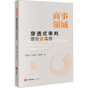 商事领域穿透式审判理论和实务 法学理论 茅迪群,庄鸿钦,包铭欣 新华正版