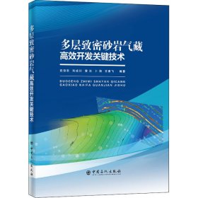 多层致密砂岩气藏高效开发关键技术 9787511460929