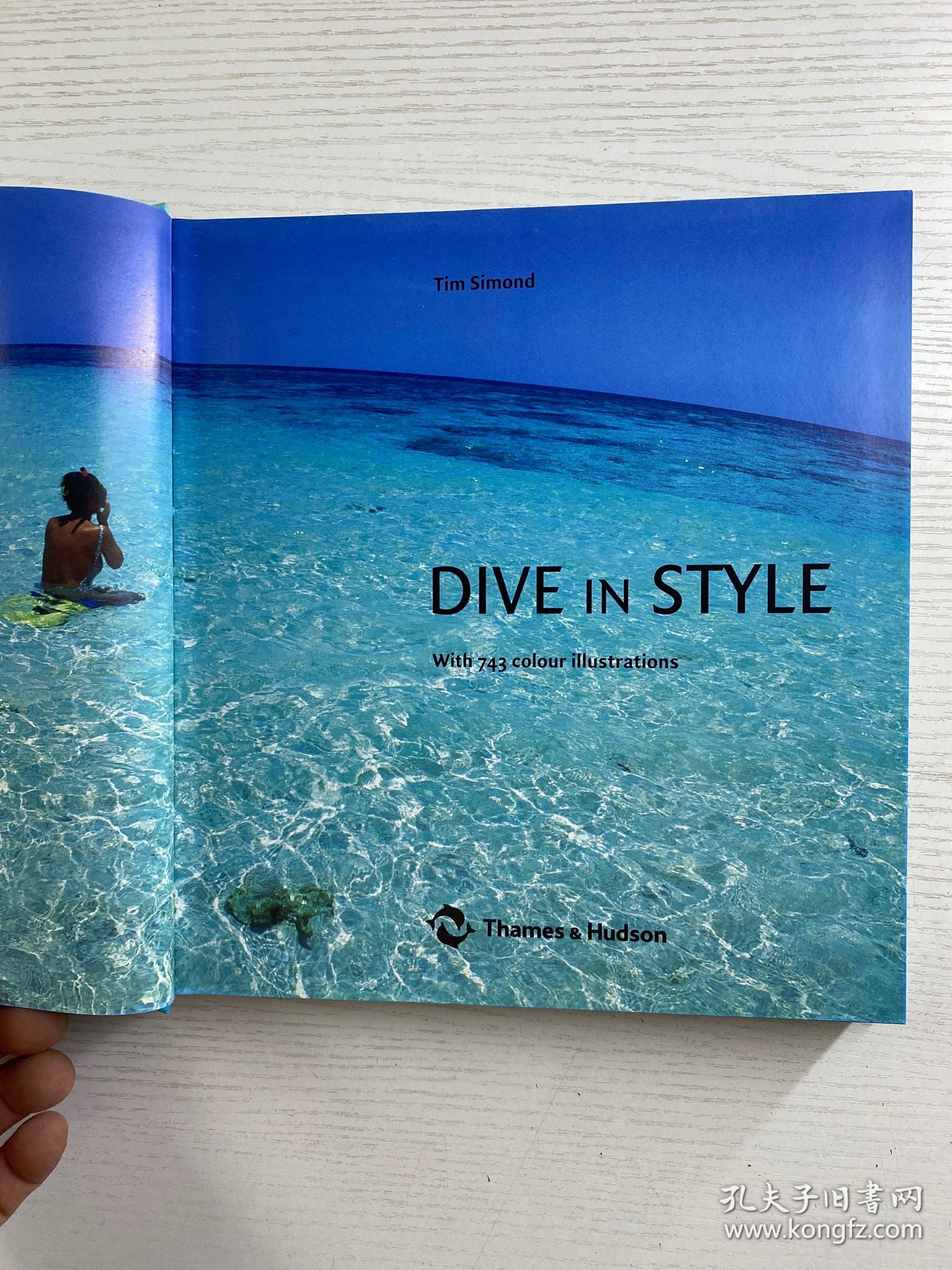 Dive in Style：With 743 Colour illustrations（2006年英文版）24开（精装如图、内页干净）