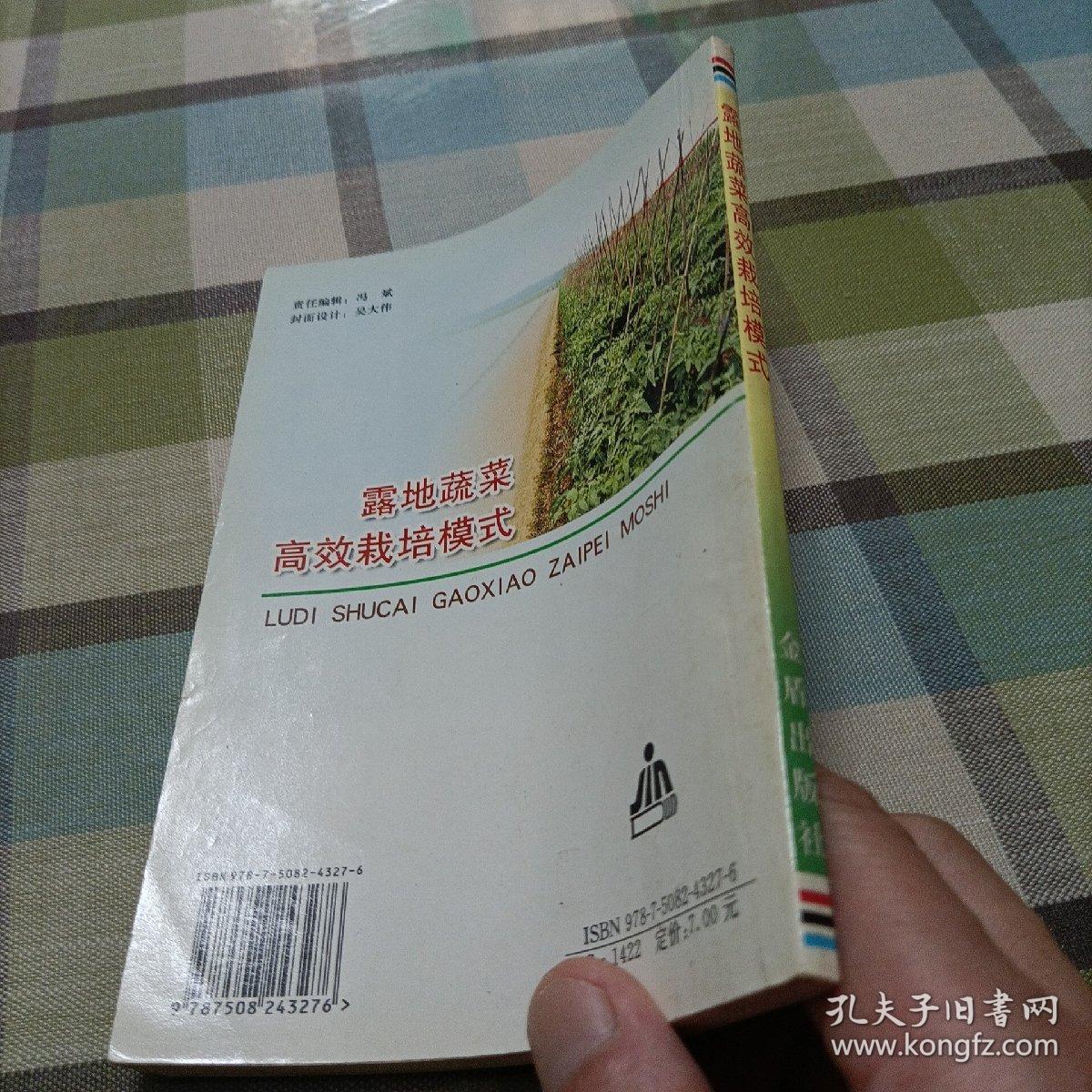 露地蔬菜高效栽培模式