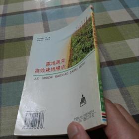 露地蔬菜高效栽培模式