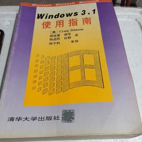 Windows3.1使用指南