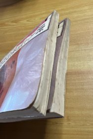 唐宋诗荟萃丛书：唐人七言绝句百首 三+宋人五言律诗百首 六（两本合售）