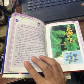 实用中草药彩色图谱与验方 三册合售