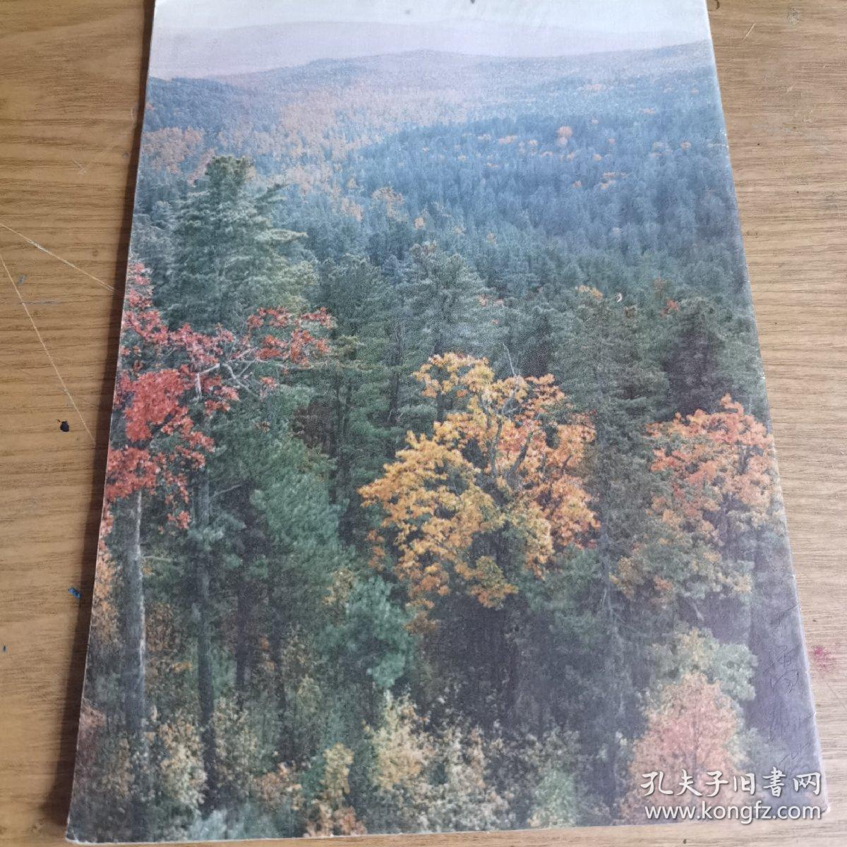 地理知识1976.2