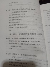 媒体文化——介于现代与后现代之间的文化研究，认同性与政治