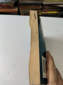 陈氏嫡传蔡李佛五轮槌