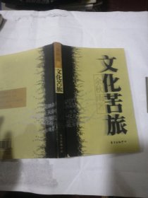 文化苦旅