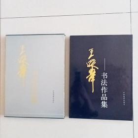 王遐举书法作品集