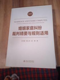 法官裁判智慧丛书：婚姻家庭纠纷裁判精要与规则适用