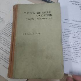 Theory of metal oxidation . volume.1 Fundamentals 金属氧化理论：第1卷《基础理论》 英文原版，硬精装 1976年出版 馆藏品不错