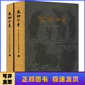 文物山东：第一次全国可移动文物普查藏品集萃（套装上下册）