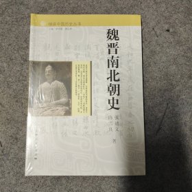细讲中国丛书·魏晋南北朝史