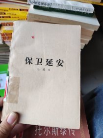 保卫延安