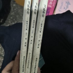 飞狐外传