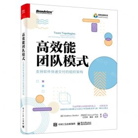 高效能团队模式：支持软件快速交付的组织架构（全彩）