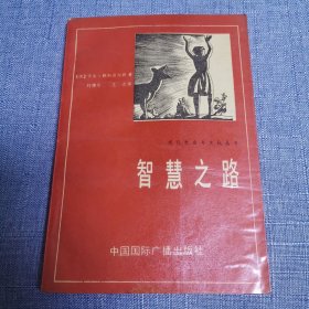 智慧之路