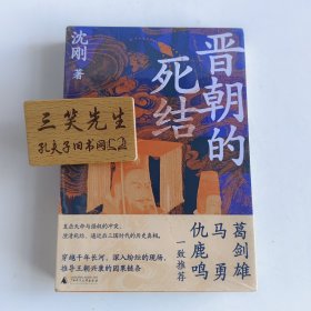 晋朝的死结 (葛剑雄、马勇、仇鹿鸣一致推荐。揭秘晋朝得失成败真相的新锐之作，诊断连绵乱局的成因)