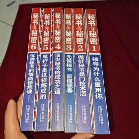 秘书的秘密（1-6）册全