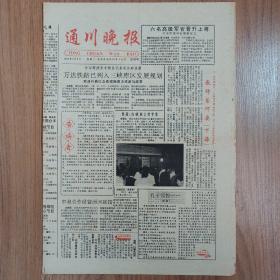 通川晚报1993年6月8日试刊号 品相可以