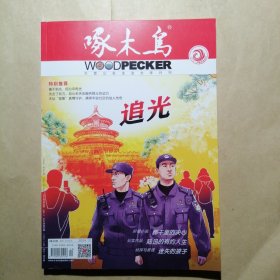 啄木鸟 2024 12