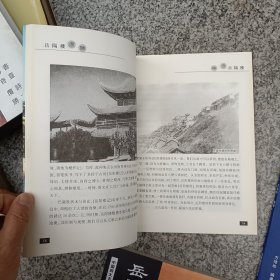 岳阳楼卷成套四本库存新书