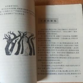 红星闪耀