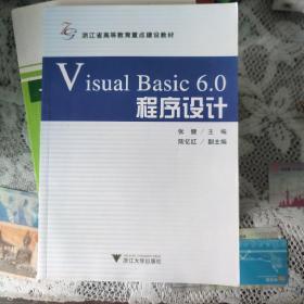 Visual Basic 6.0程序设计