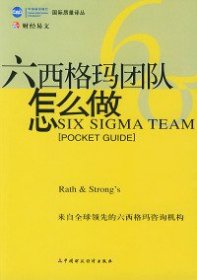 六西格玛团队怎么做/国际质量译丛（美）玛丽·菲德利科 瑞尼·贝提 冯江一等