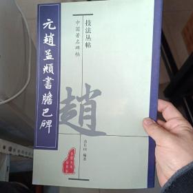 中国古代名家碑贴技法丛书：元赵孟頫书胆巴碑