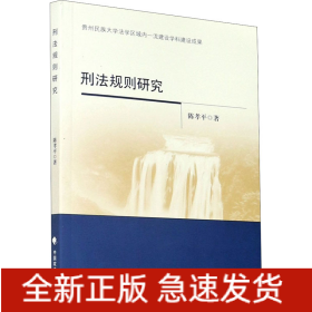 刑法规则研究