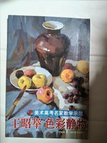 美术高考名家教学示范 王昭举色彩静物3