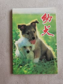 《幼犬》明信片一套十张