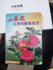 山茶花盆栽与繁育技术