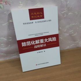 防范化解重大风险战略解读