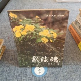 B17 武陵魂