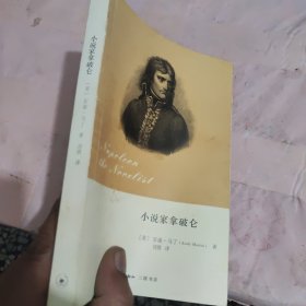 小说家拿破仑